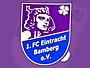 FC Eintracht Bamberg Vereinswappen Aufkleber