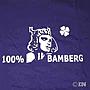 T-Shirt 100 % Bamberg