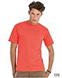 Herren T-Shirt Promo, viele Farben von XS-4XL