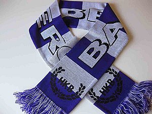 FC Eintracht Bamberg Fanschal