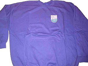 FC Eintracht Bamberg Sweat-Shirt