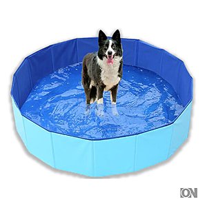 Hunde Pool