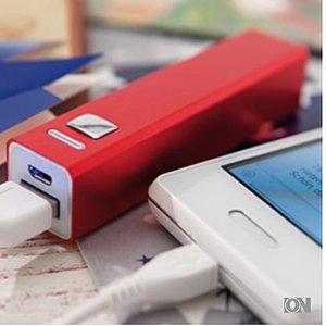 Powerbank Endurance